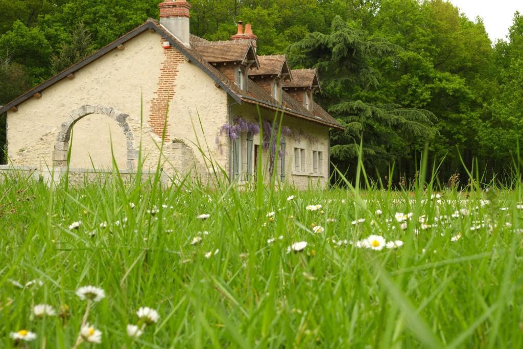 Chambre D'Hotes Domaine De La Pepiniere Bed & Breakfast Chouzy-sur-Cisse Екстериор снимка